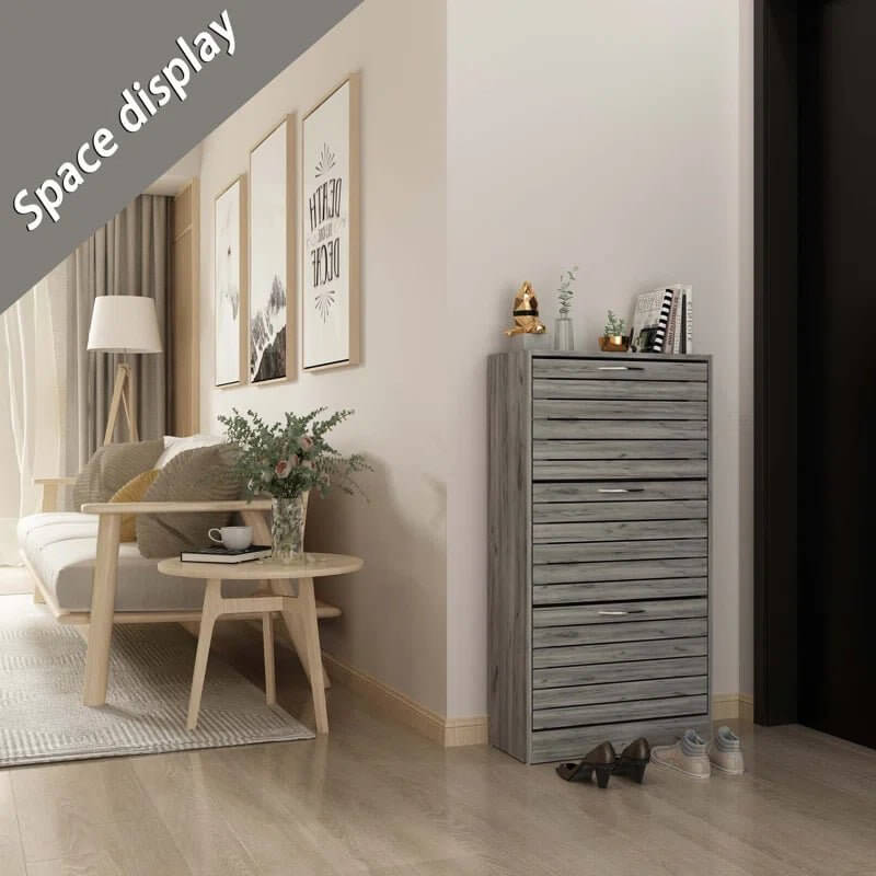 Compact 12 - Pair Shoe Storage Cabinet