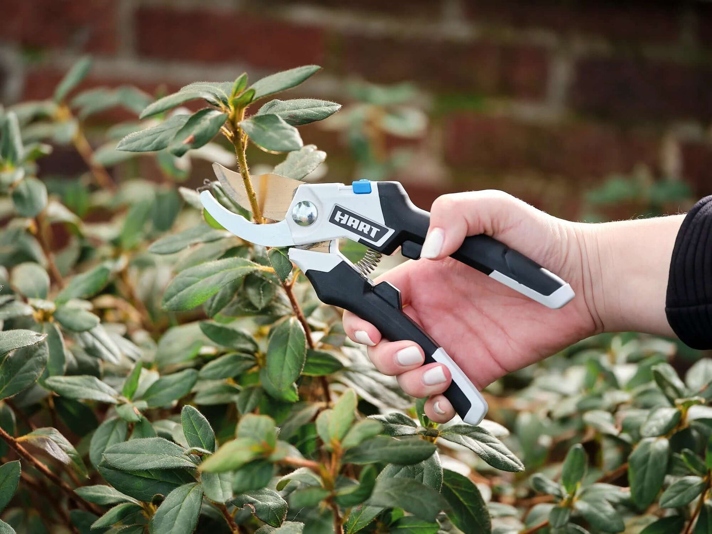 Essential Gardening Tools for Yard Maintenance