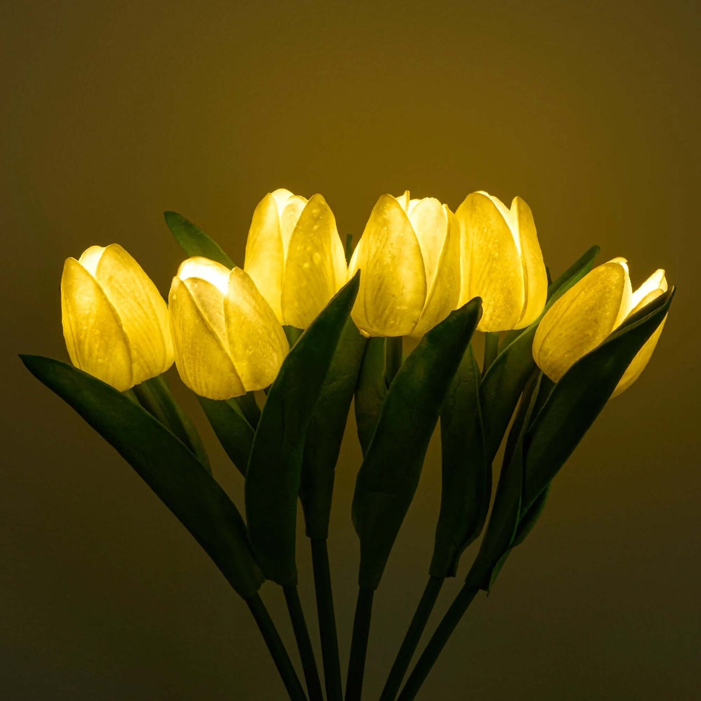 Tulip Night Light
