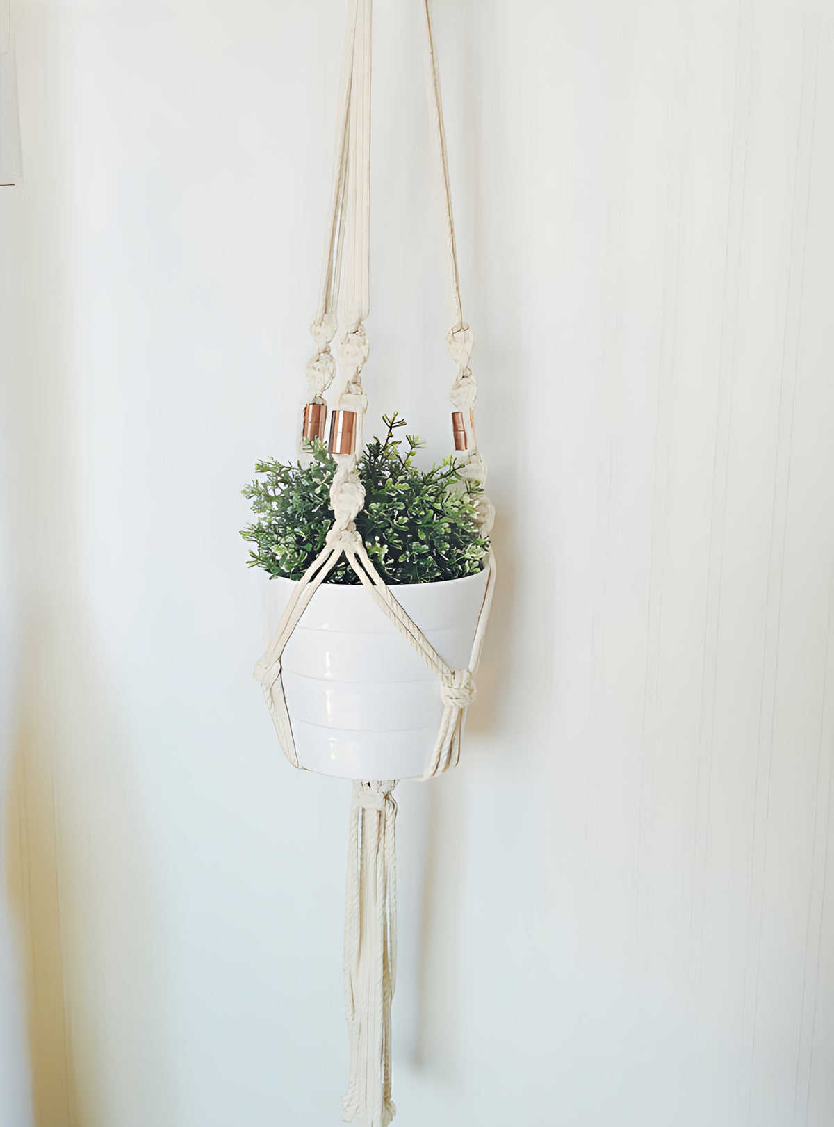 Macrame Plant Hanger Locally Sourced Ontario Cotton Rope, holding a white pot with greenery.