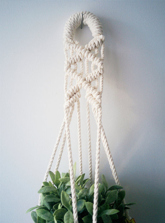 Macrame plant hanger made from cotton cord, holding a leafy green plant.