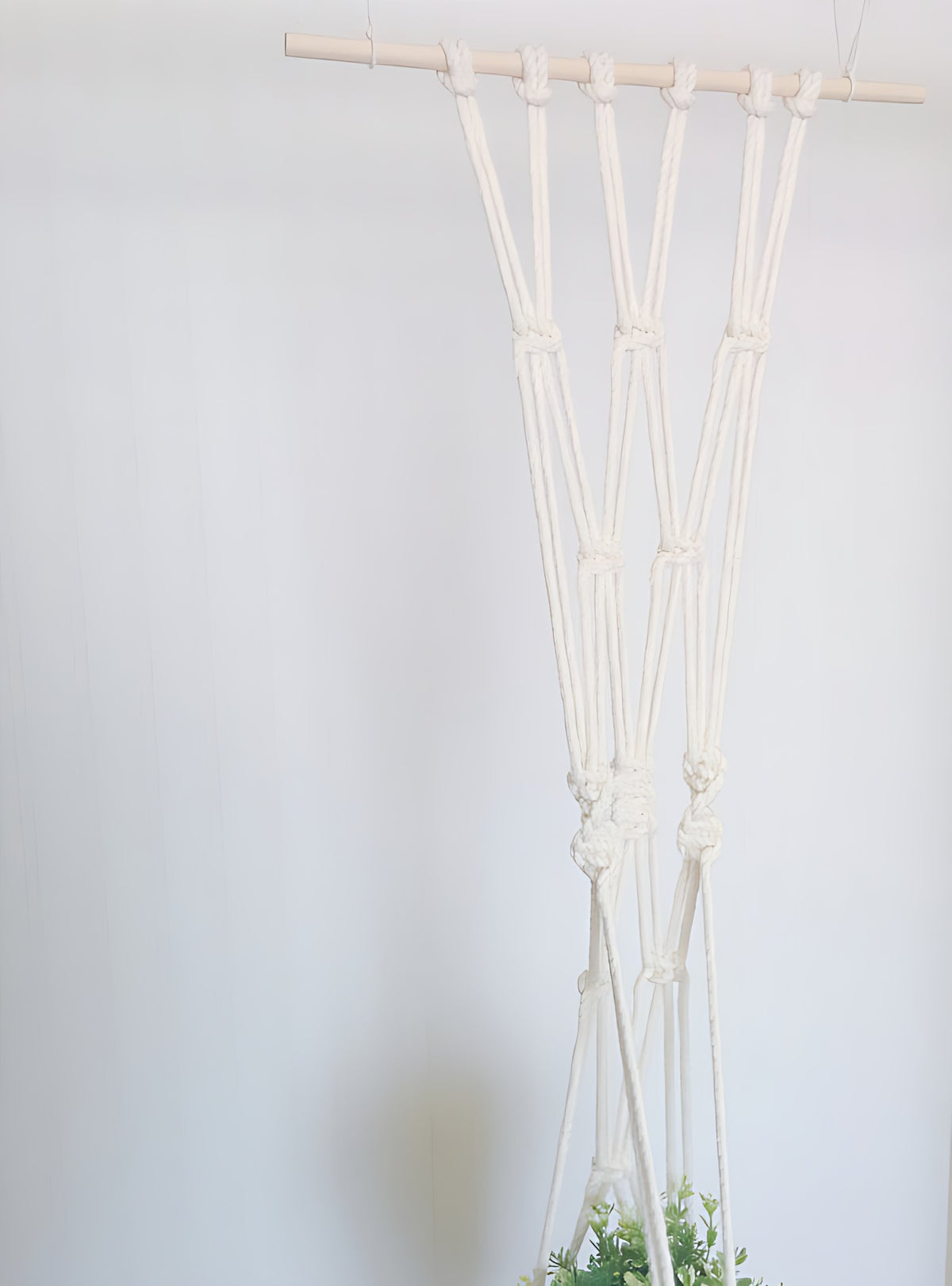 Macrame plant hanger on a wooden dowel with natural cotton cords holding a plant.