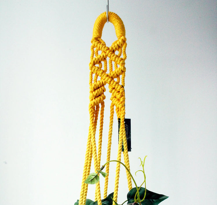 Yellow macrame plant hanger with a plant on a white background