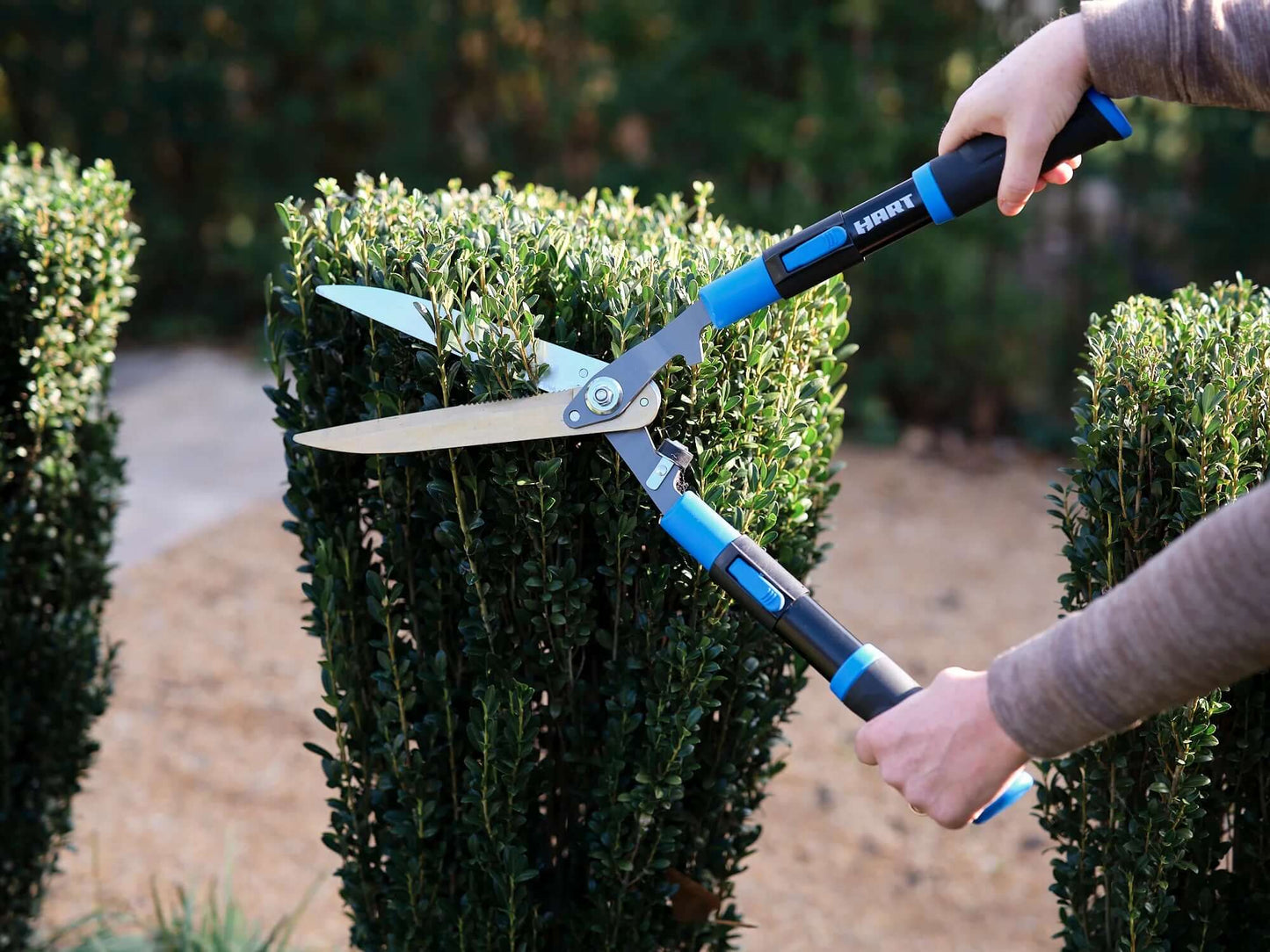Essential Gardening Tools for Yard Maintenance
