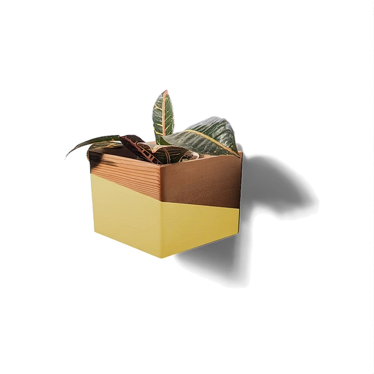 Wooden wall planter in reclaimed pine with a dipped yellow band, hung corner-down