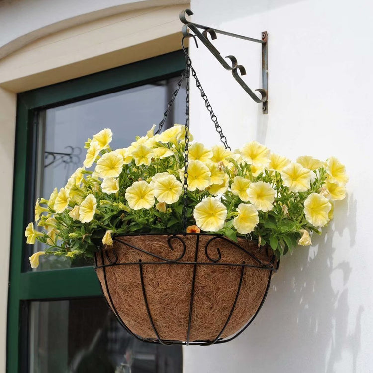 Hanging Planters - Tamimi Home