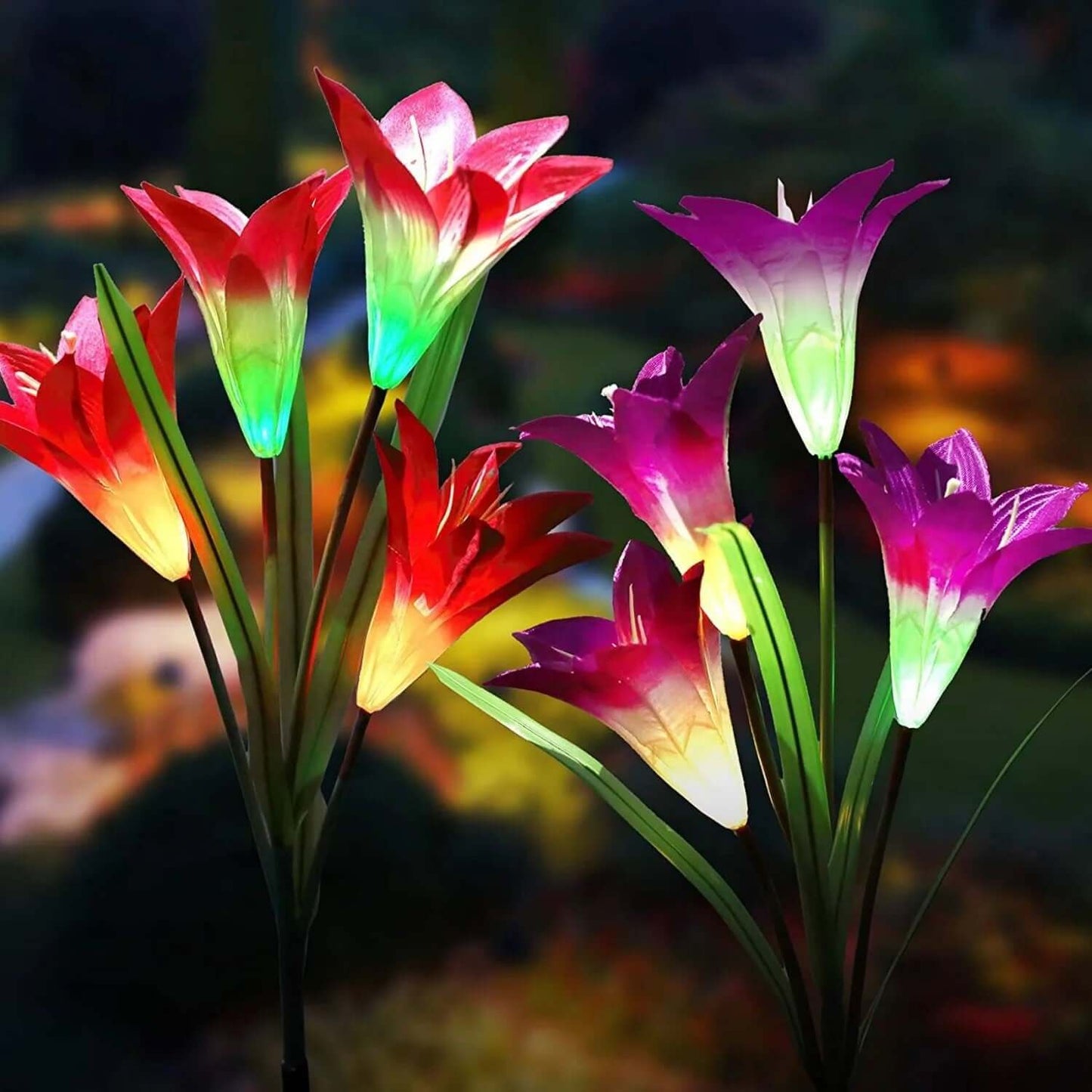 Color - Changing Solar Lights