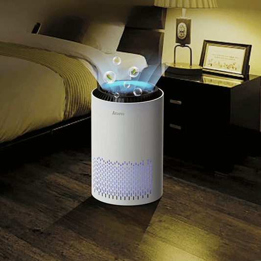 Portable Air Purifier with Sleep Mode and Speed Control