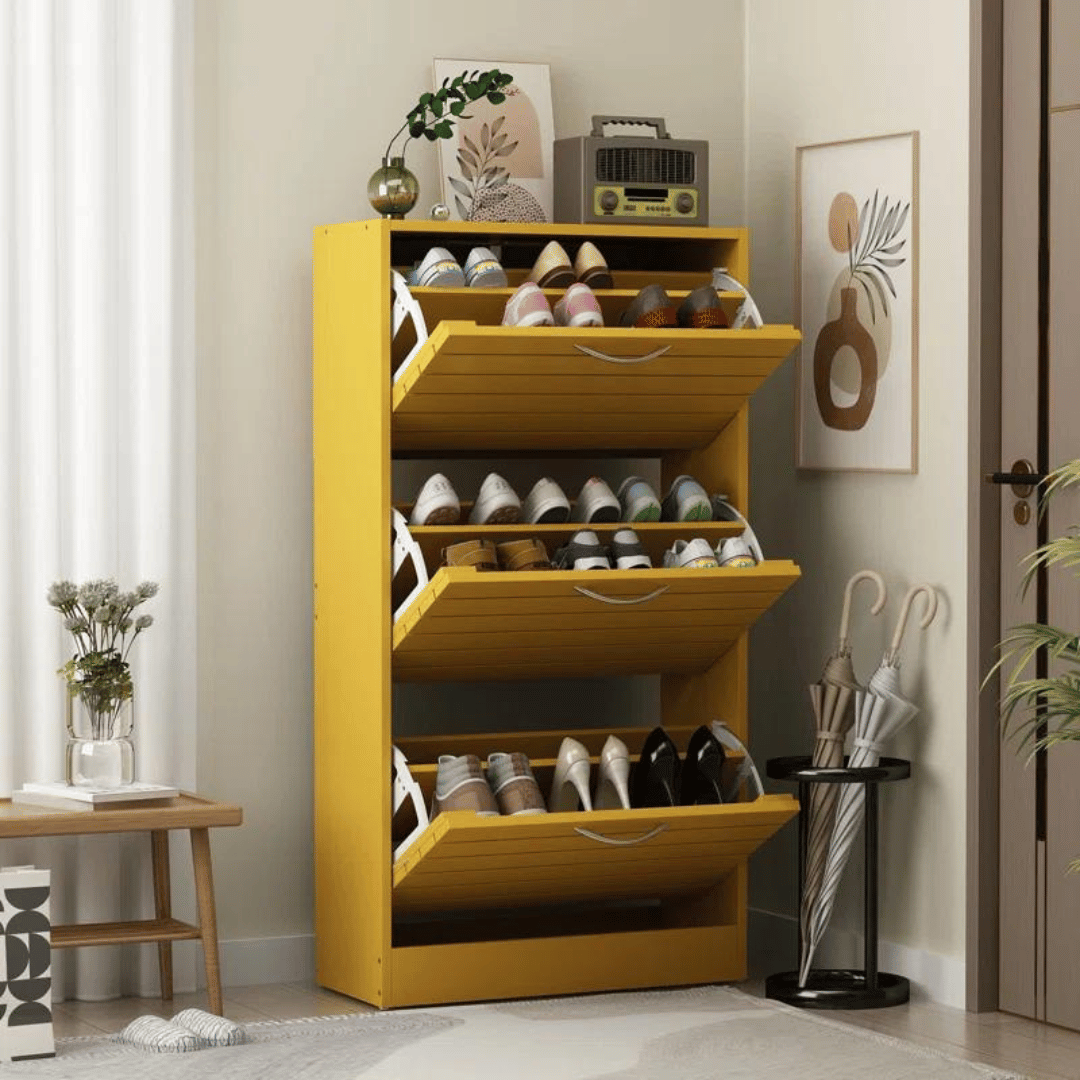 Compact 12-Pair Shoe Storage Cabinet