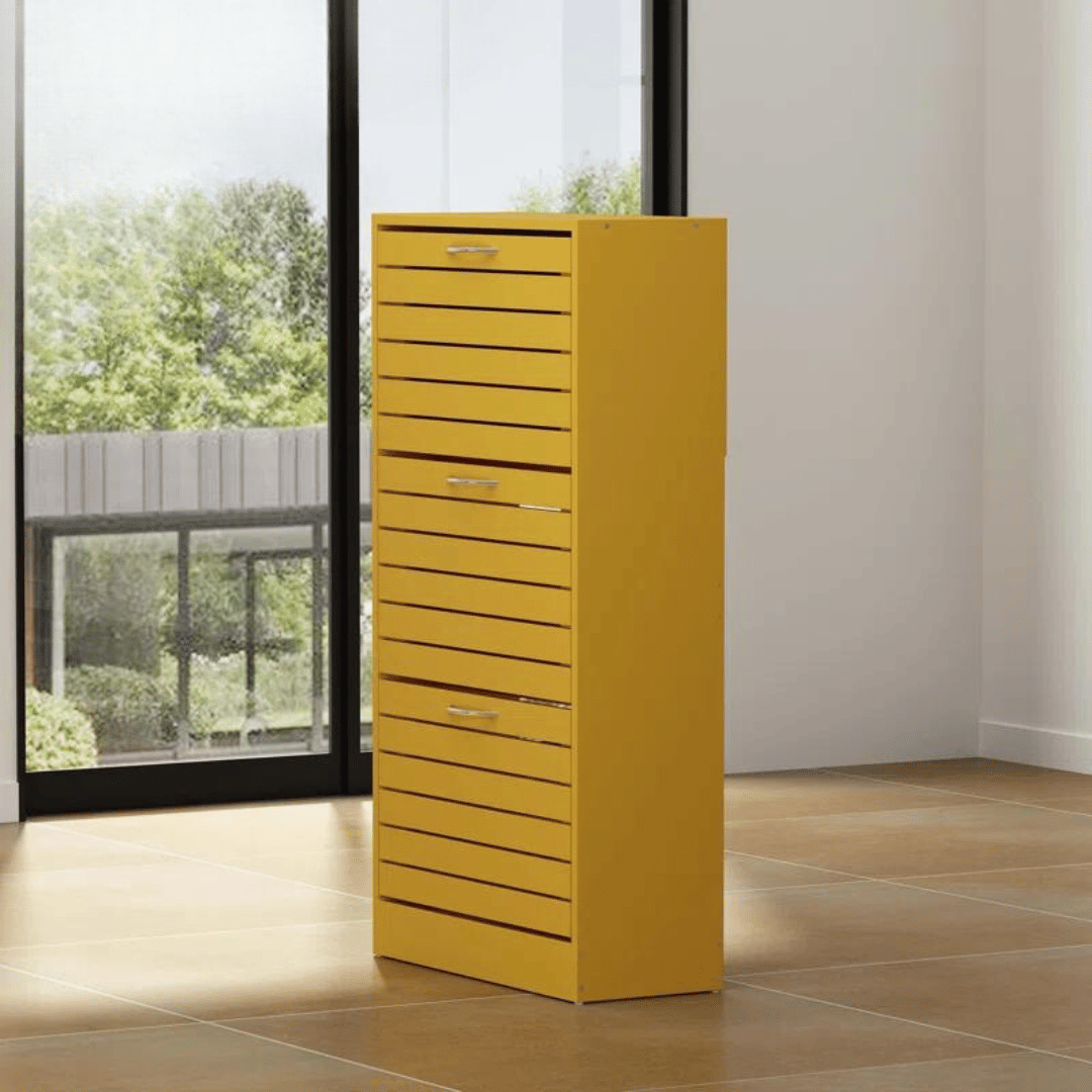 Compact 12-Pair Shoe Storage Cabinet