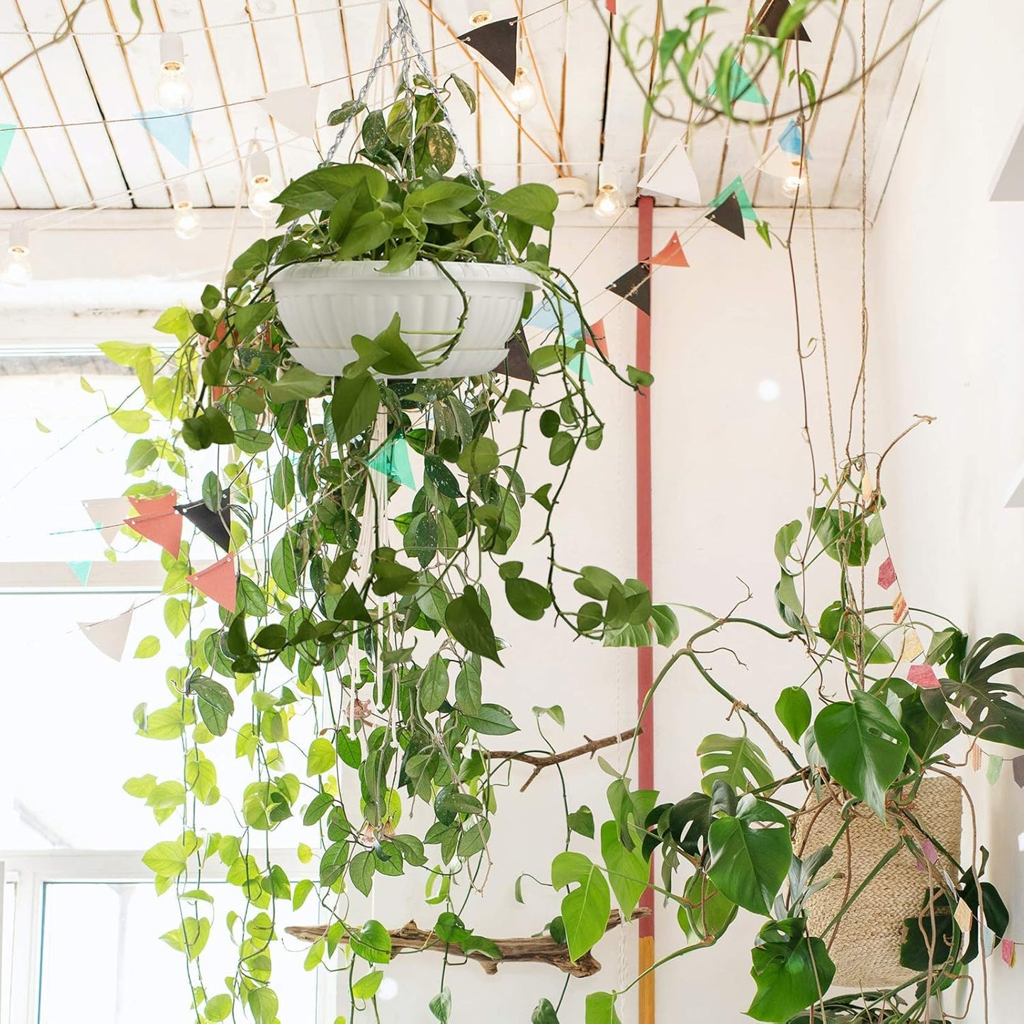 Hanging Planters for Indoor Outdoor