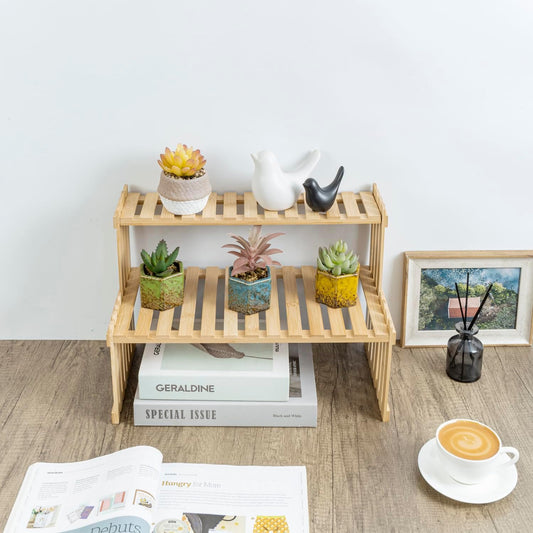 2-Tier Bamboo Plant Stand for Desk or Home Decor