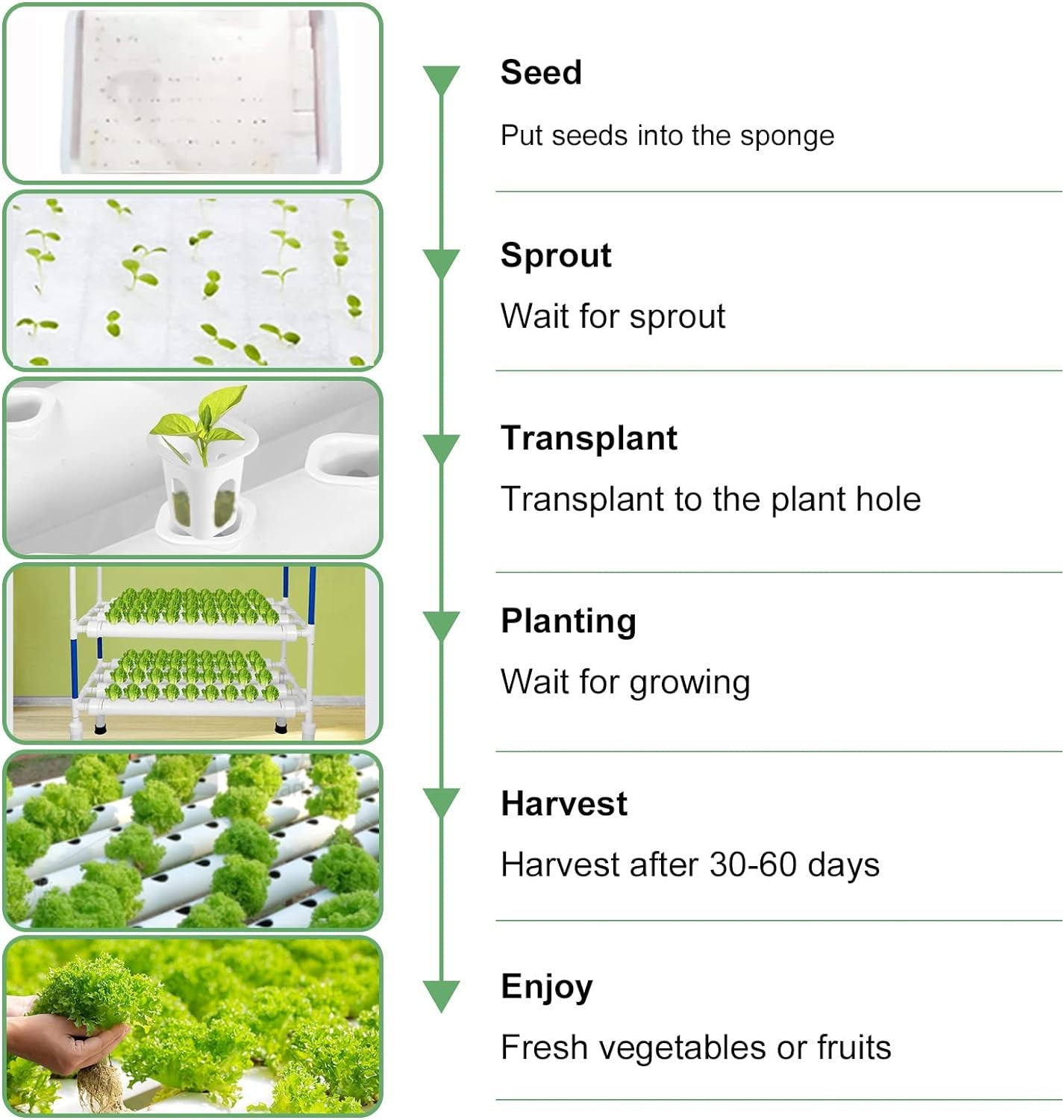 Complete Indoor Hydroponic Growing Solution