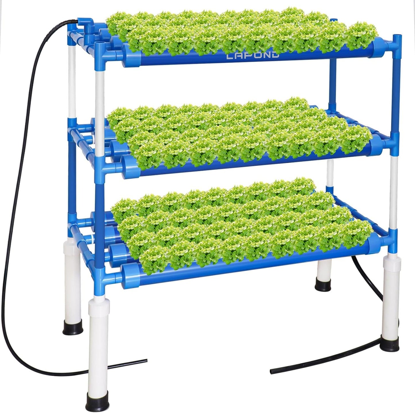 Complete Indoor Hydroponic Growing Solution