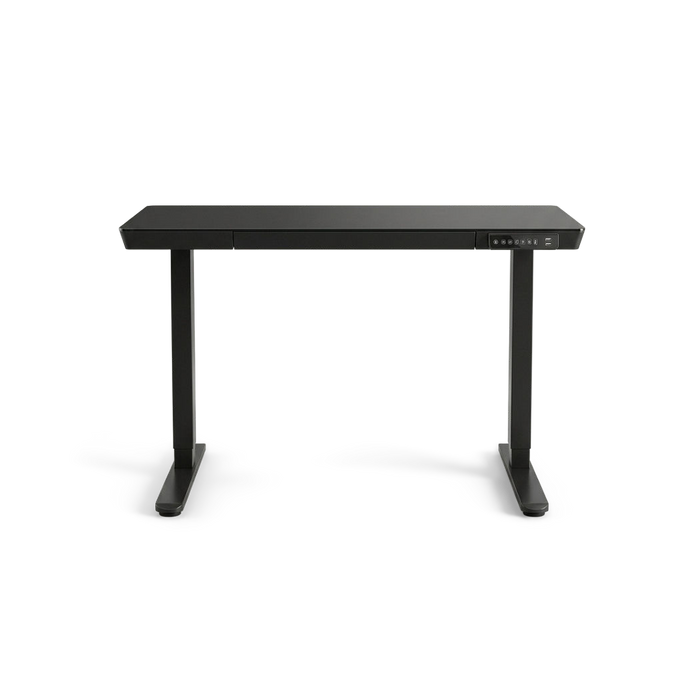 48 Inch Glass Electric Standing Desk With USB Charging