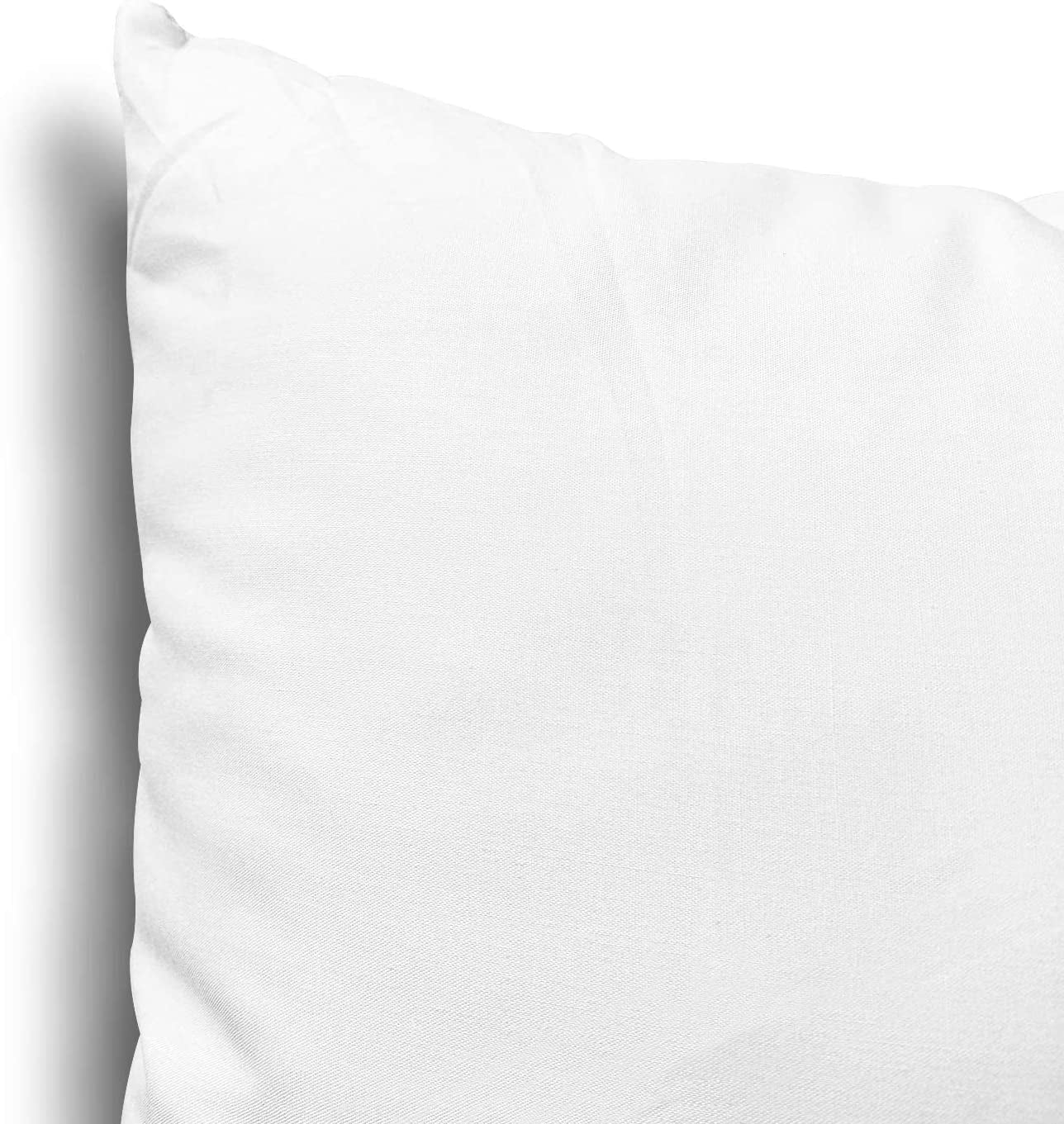 Throw Pillow Inserts, Set of 2 Lightweight down Alternative Polyester Pillow, Couch Cushion, Sham Stuffer, Machine Washable. (White, 12X20)