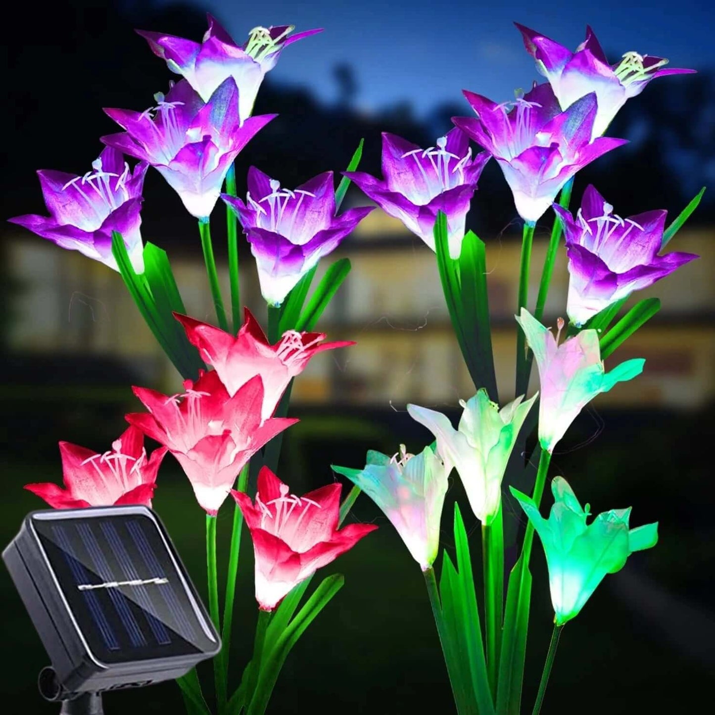 Color - Changing Solar Lights