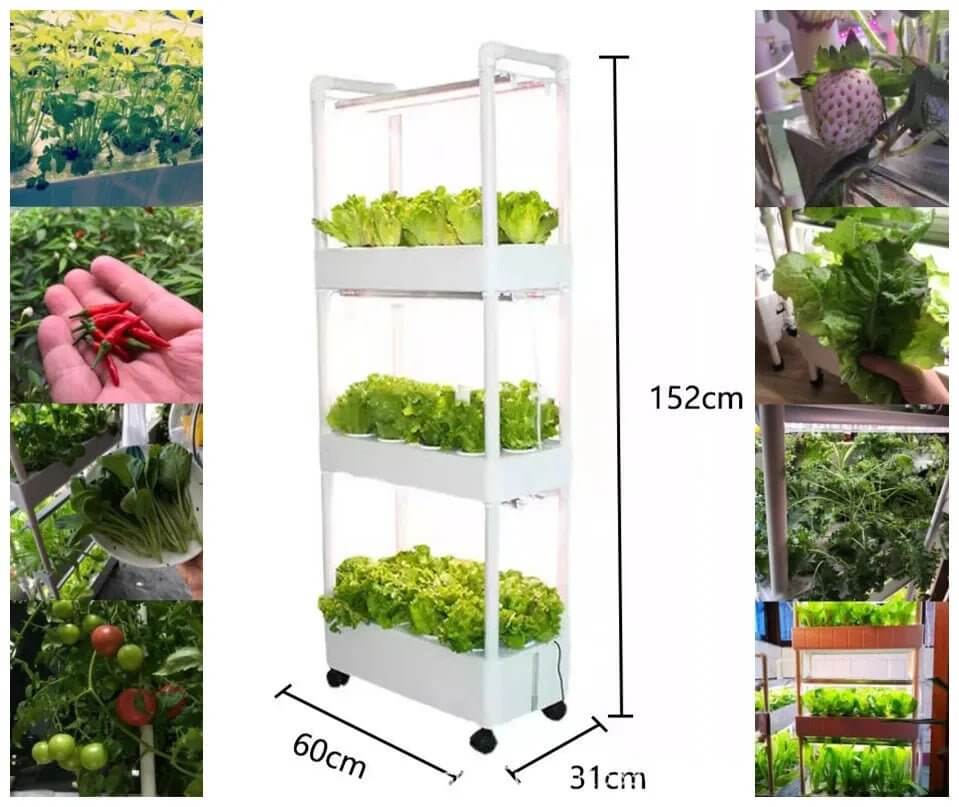 42 - Hole Hydroponic Tower with Grow Lights