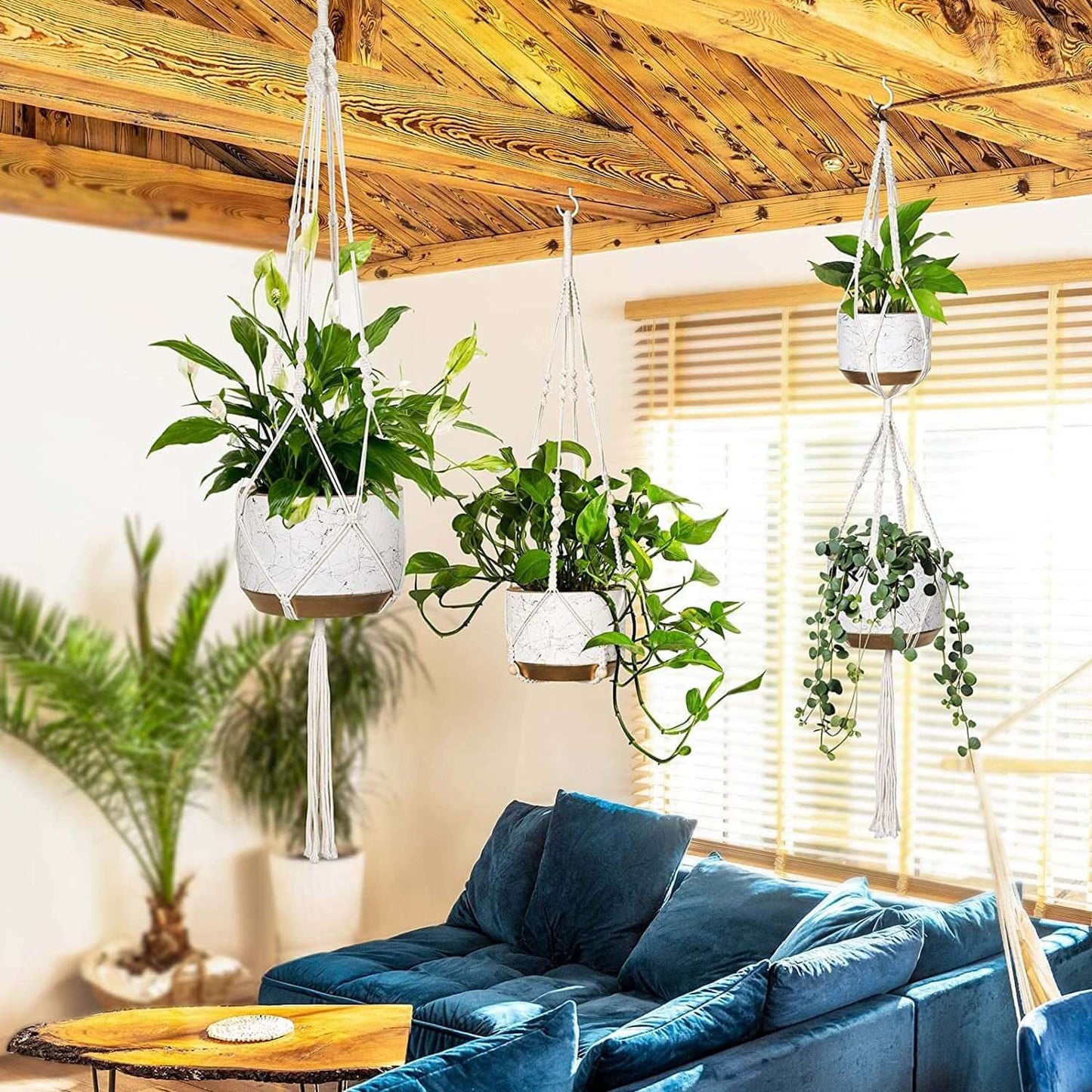 3 - Piece Macrame Plant Hangers with Hooks