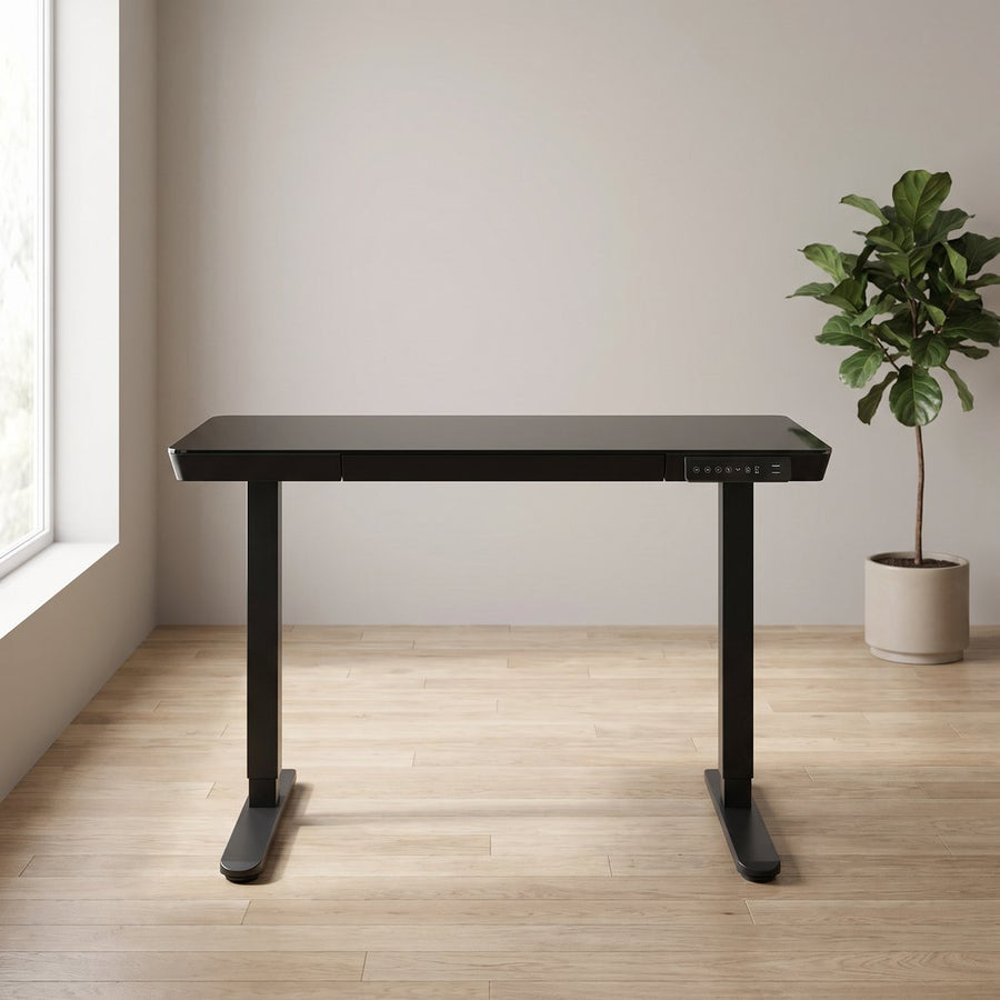 48 Inch Glass Electric Standing Desk With USB Charging