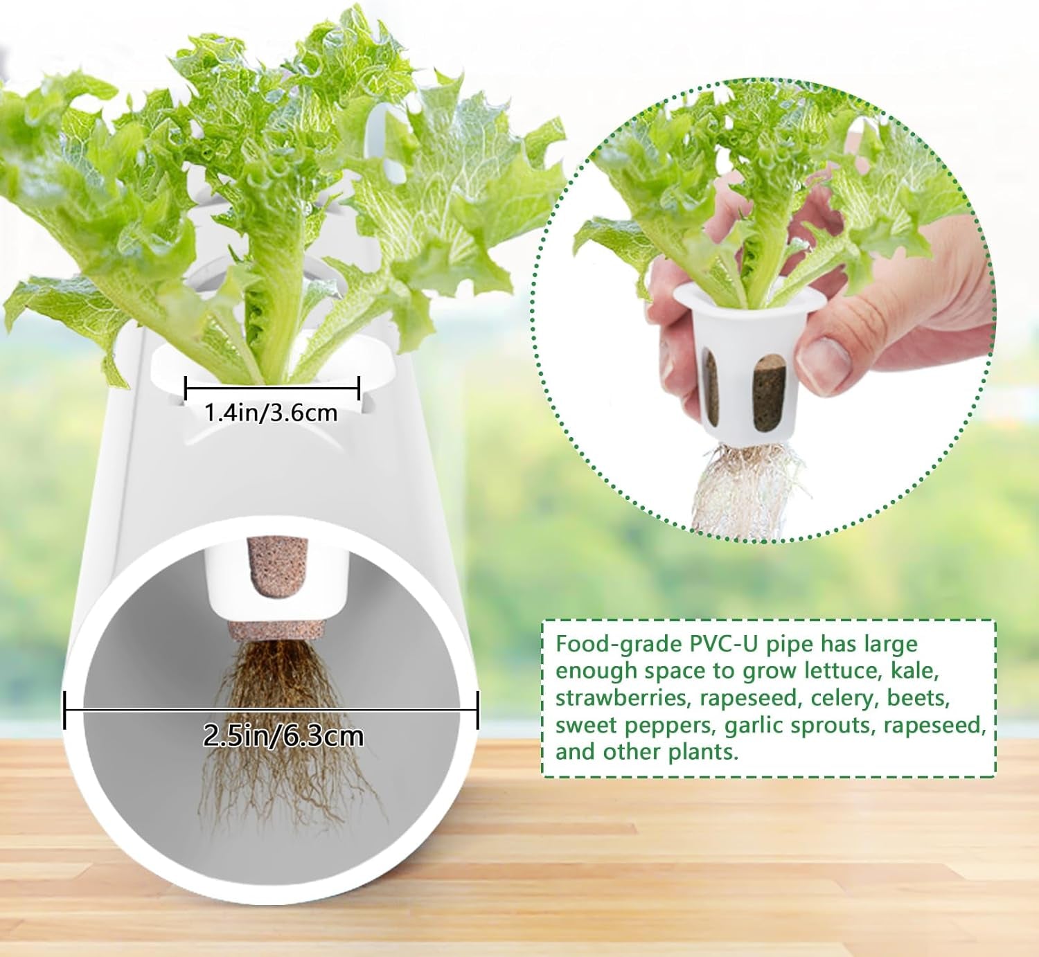 Complete Indoor Hydroponic Growing Solution