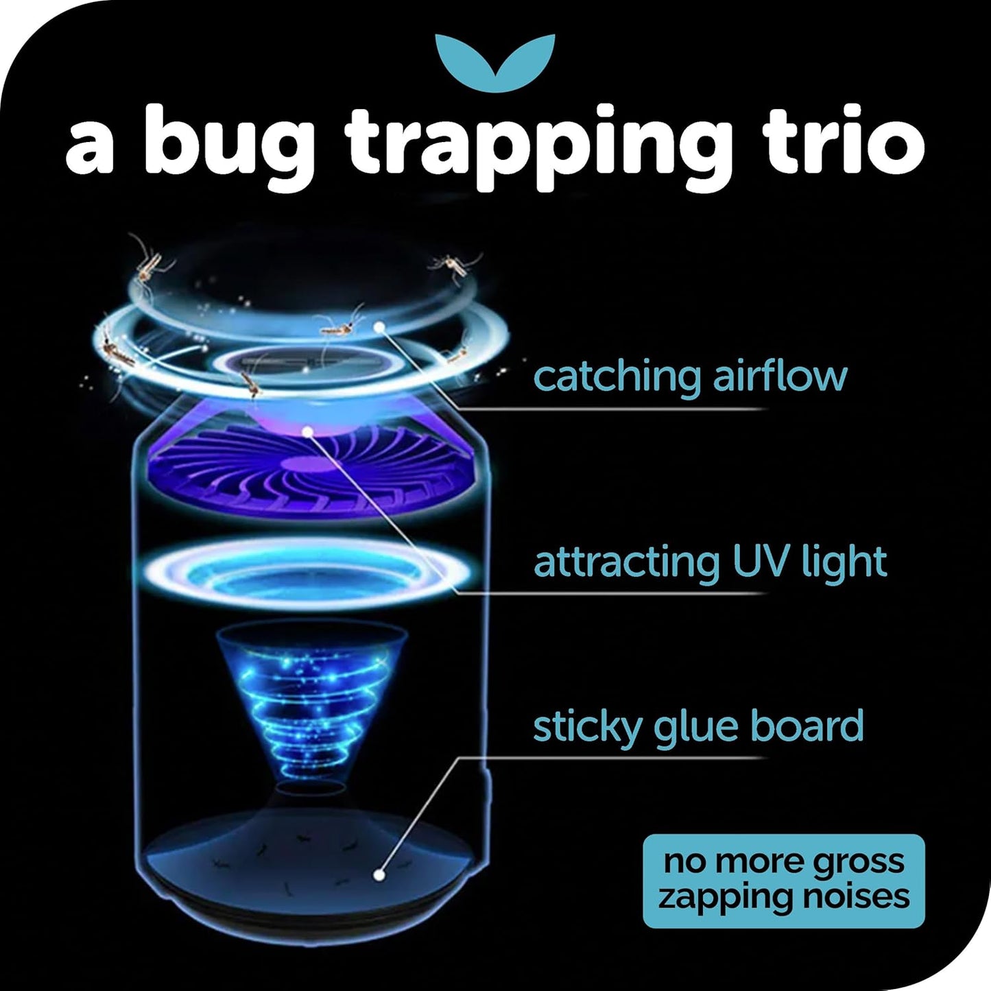 Mosquito, Gnat, and Fruit Fly Trap