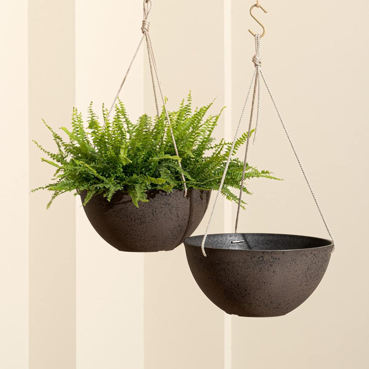 Stylish Plant Hangers for Home Decor