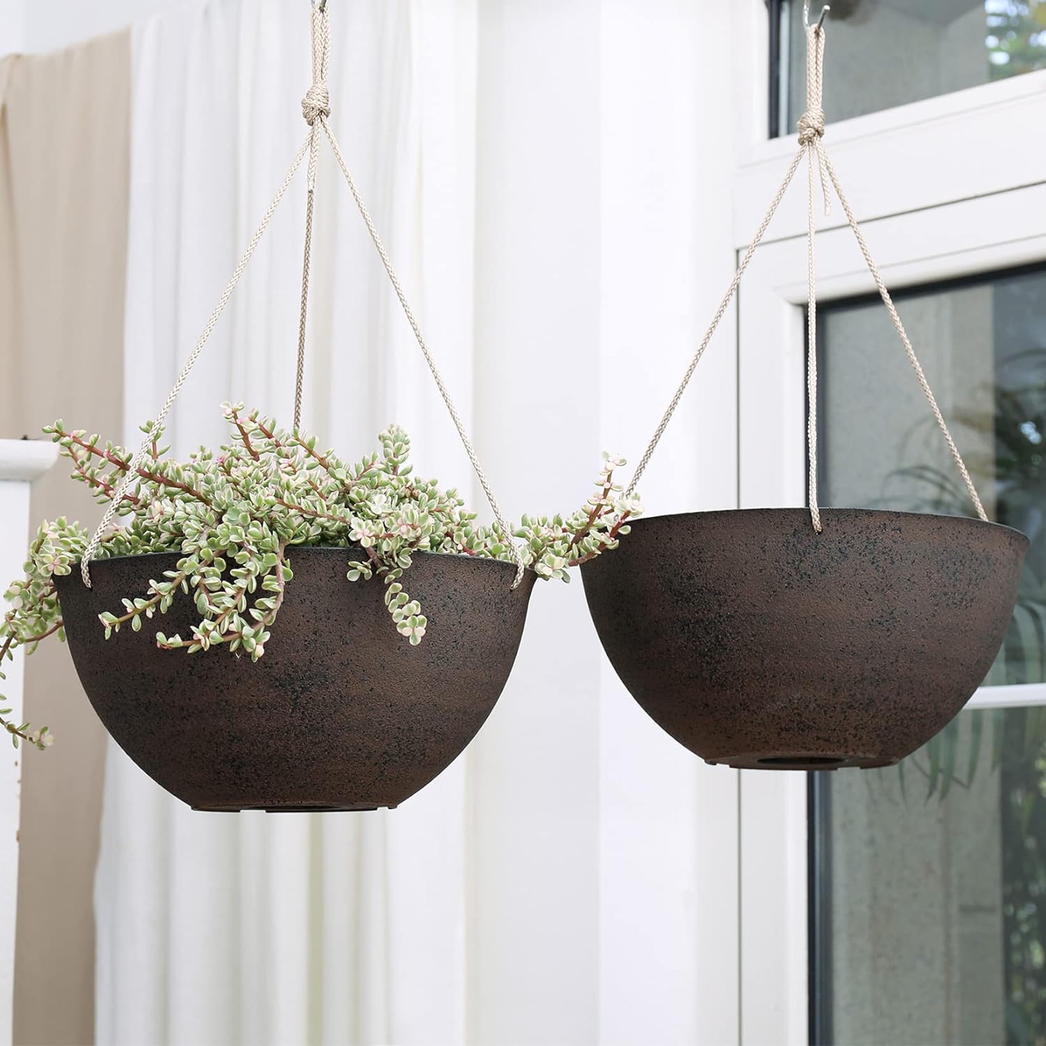 Stylish Plant Hangers for Home Decor