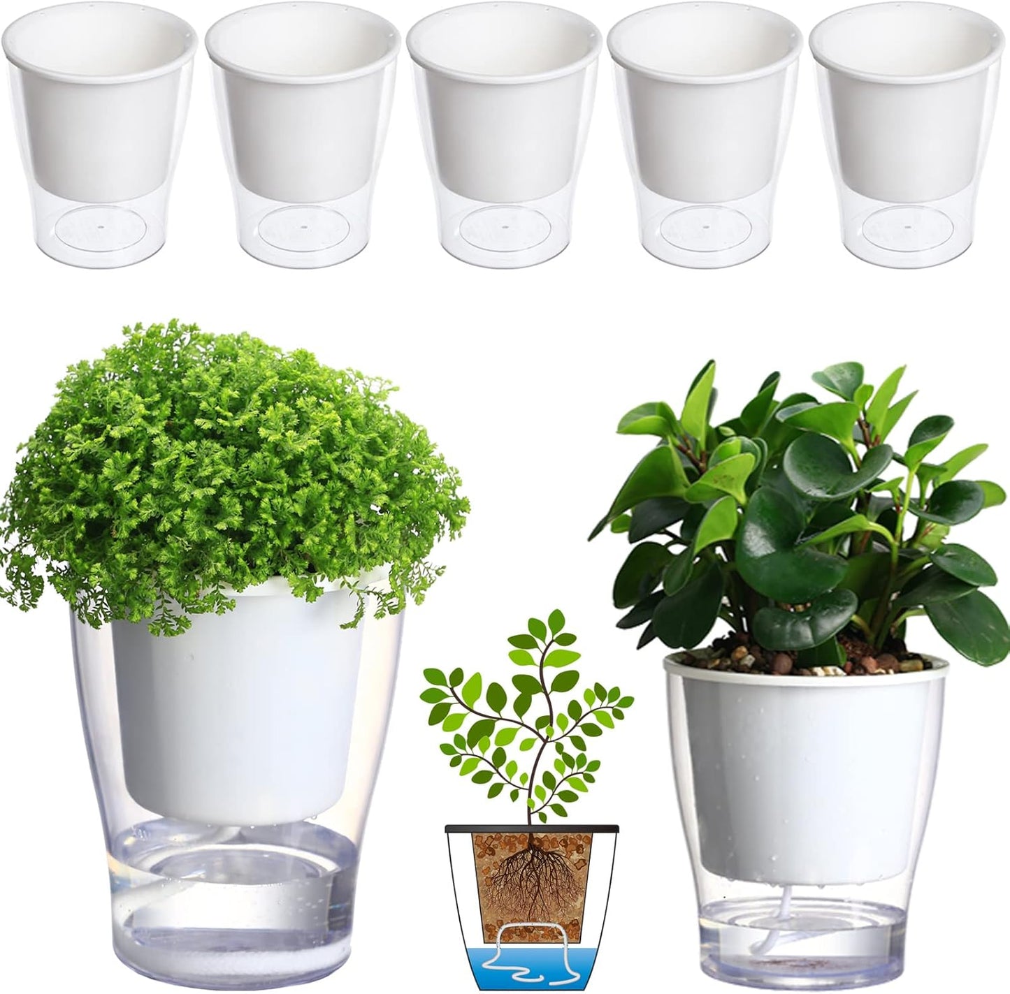 3 Packs 7" Large Clear Self-Watering Planters African Violet Pots Plastic Plant Pots Wicking Flower Pots for Indoor Plants, Herbs, African Violet, Ocean Spider Plant, Orchid Pot, Clear and White