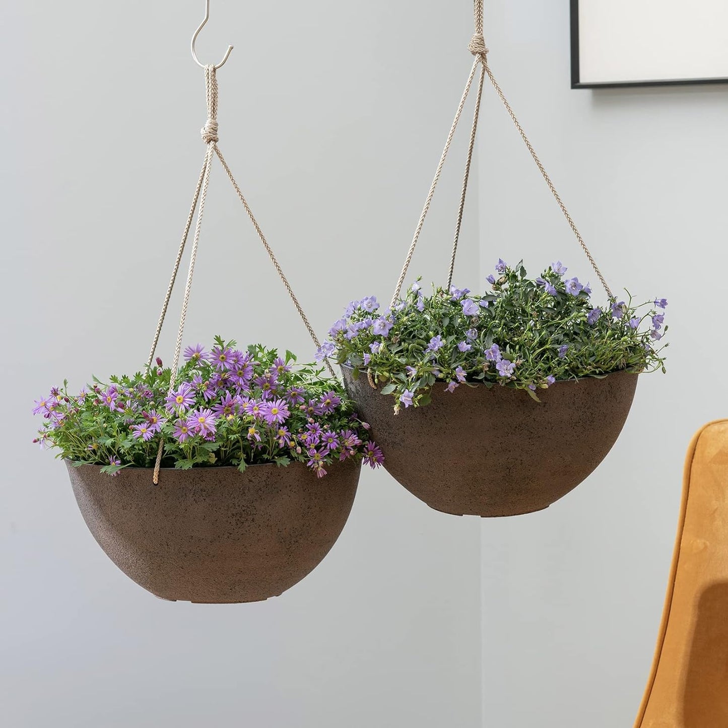 Stylish Plant Hangers for Home Decor