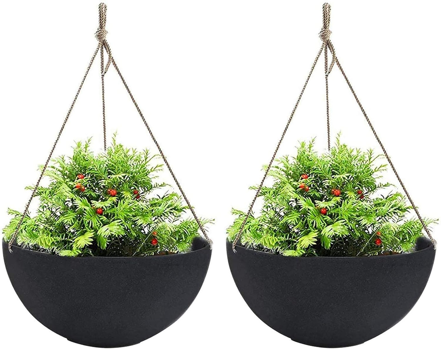 Stylish Plant Hangers for Home Decor