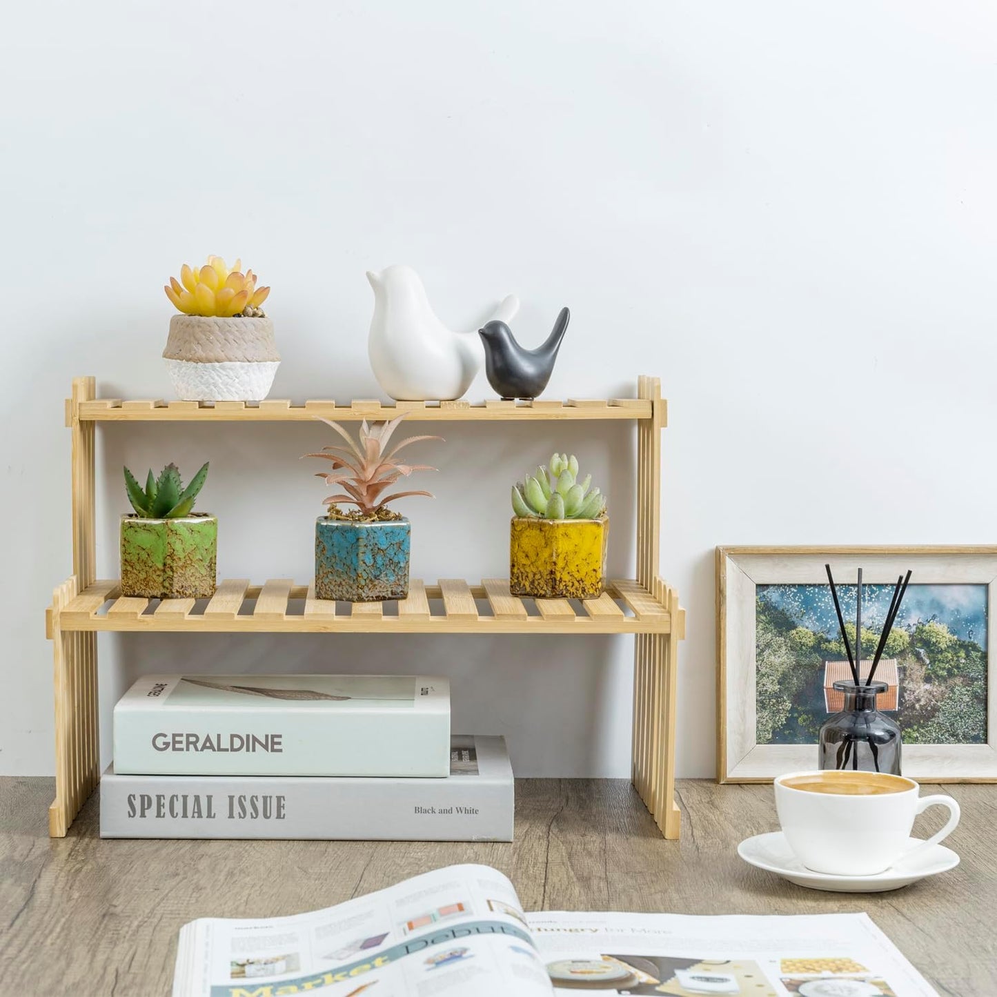 2-Tier Bamboo Plant Stand for Desk or Home Decor