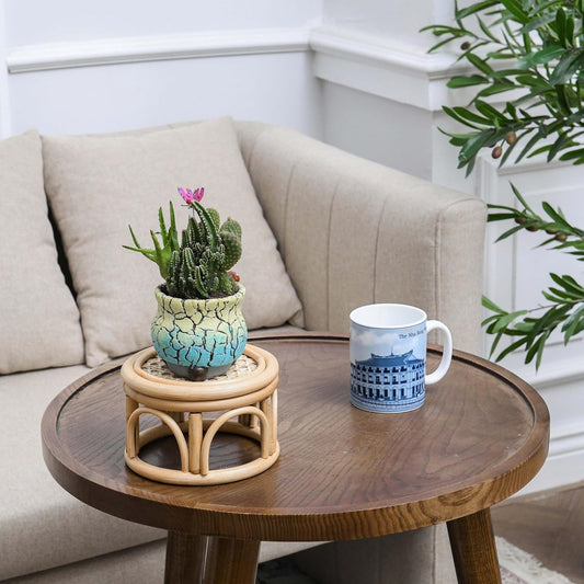 Boho Rattan Wicker Plant Stands (Set of 2)