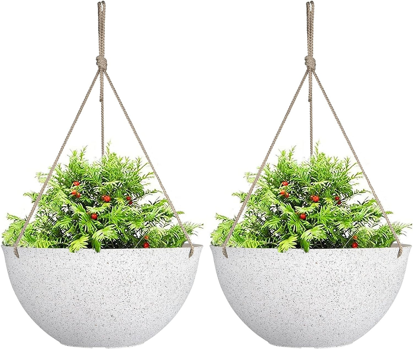 Stylish Plant Hangers for Home Decor