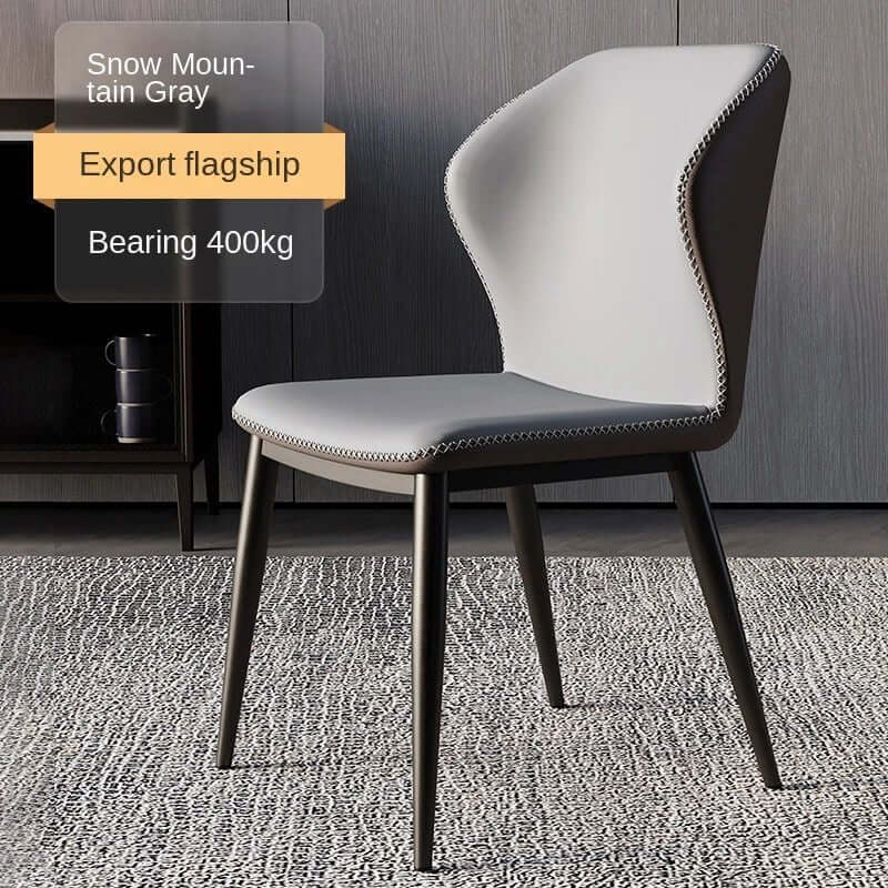 Modern Dining Chair with Soft Backrest