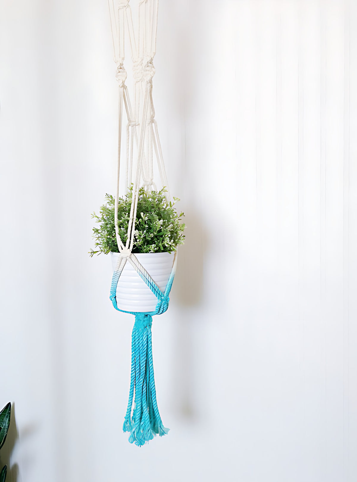 Aquamarine dip-dye macrame plant hanger, handmade in Canada, holding a white pot with a green plant.