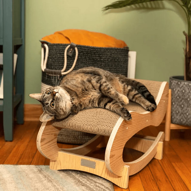 Cat lounging on a wooden catnip rocker in a home setting