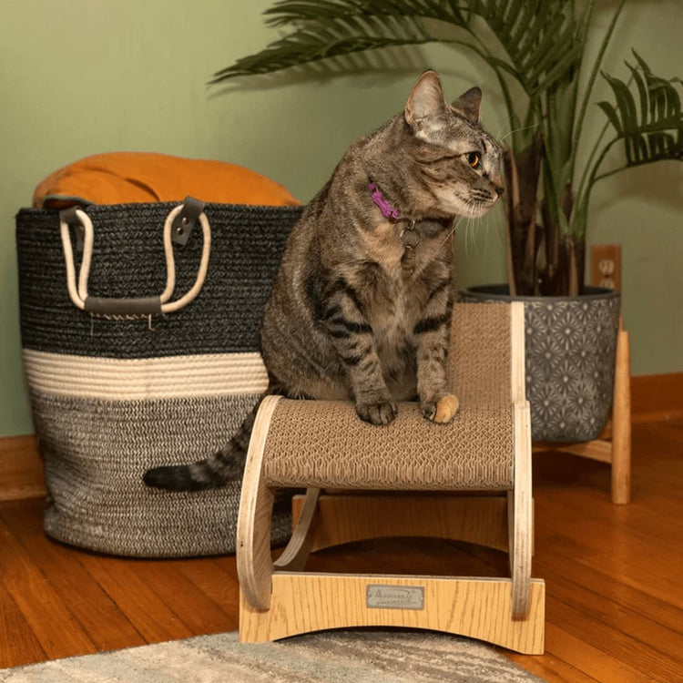 Cat sitting on a wooden cat tree in a home setting with a basket and plants in the background.