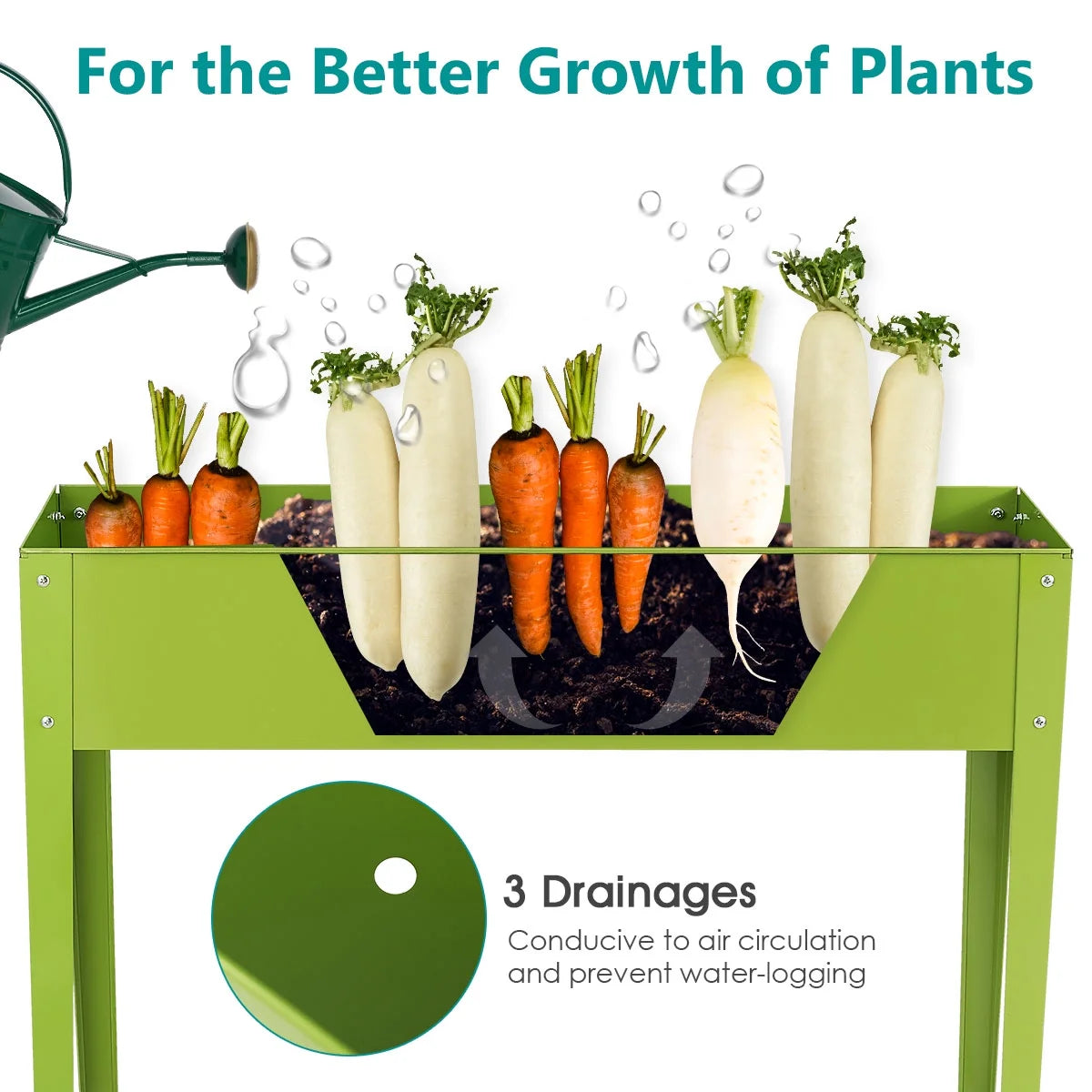Green plant stand with carrots and radishes, labeled for better plant growth.