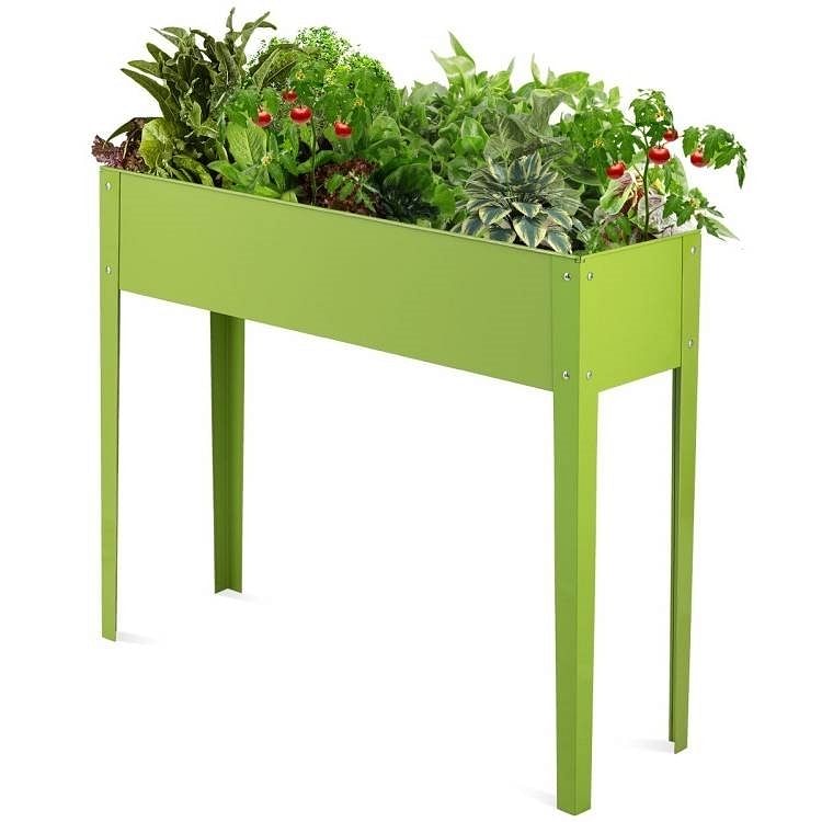 Green raised garden bed with plants on a white background