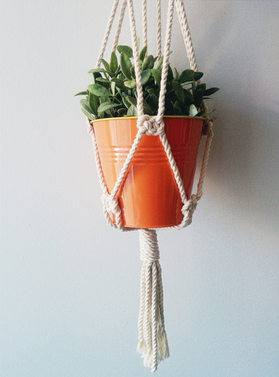 Handmade 100% cotton macrame plant hanger with orange pot and green plant, boho hanging planter.