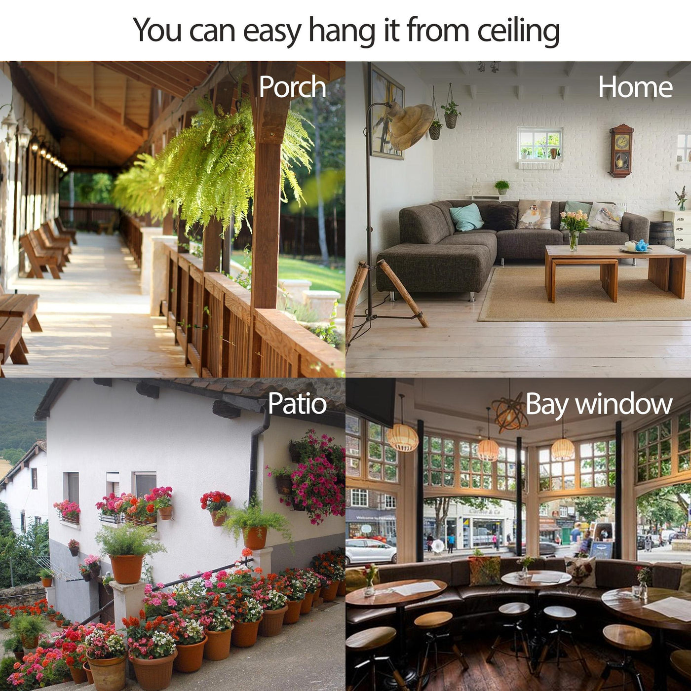 Collage of various outdoor and indoor settings with plants, including a porch, home, patio, and bay window.