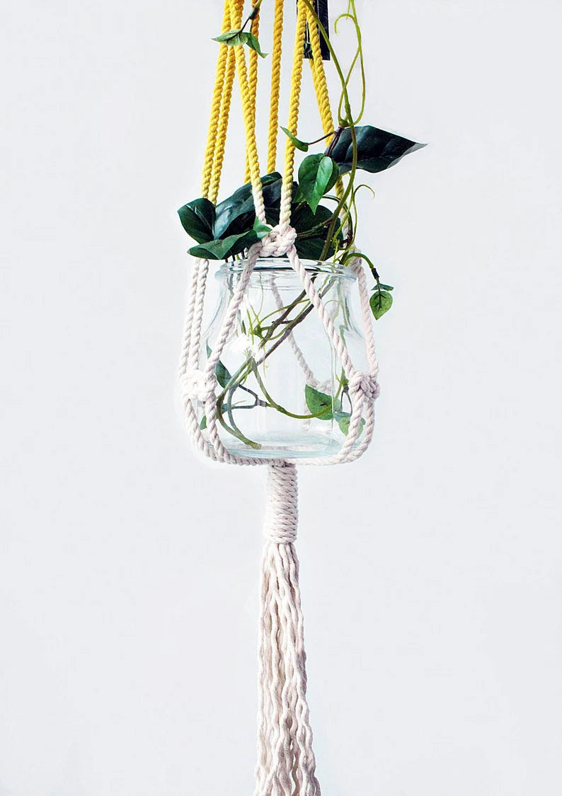 Hanging plant in a glass vase with a yellow rope on a white background