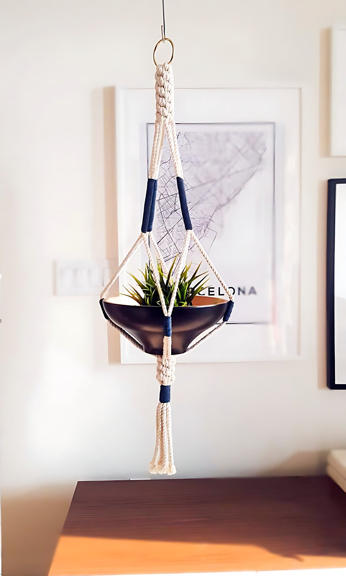 Macrame Plant Hanger handcrafted in 100% Ontario cotton rope with navy accents, suspending a black bowl planter.