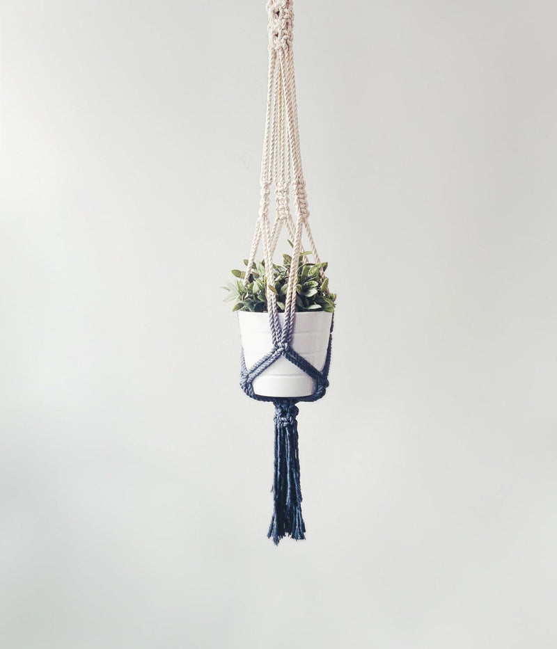 Macrame plant hanger with a small potted plant on a plain background