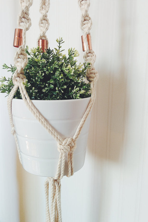 Macrame plant hanger from locally sourced Ontario cotton rope holds a white pot with a green plant.