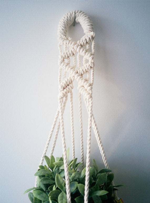 Macrame plant hanger made from cotton cord, holding a leafy green plant.