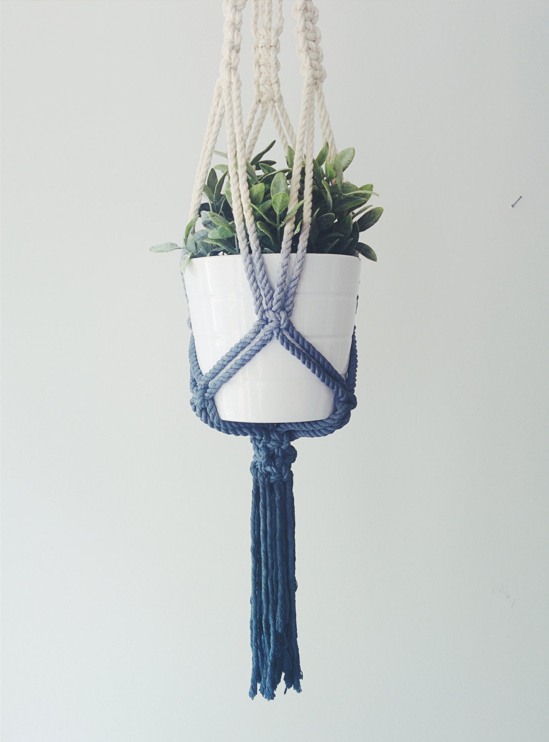 Macrame plant hanger with a white pot and green plant on a light gray background