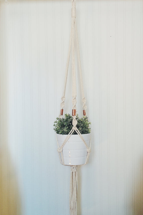 Macrame plant hanger with locally sourced Ontario cotton rope, white pot and greenery.