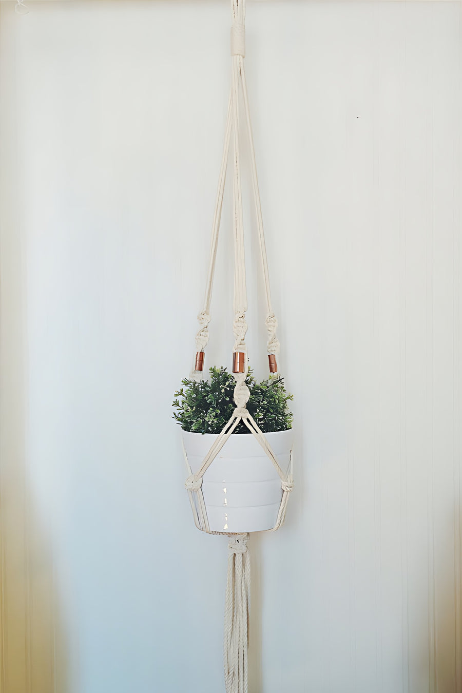 Macrame Plant Hanger Locally Sourced Ontario Cotton Rope